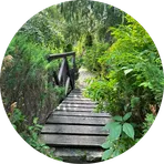 Анти-стресс перезагрузка  - Ландшафтотерапия 