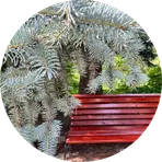 Анти-стресс перезагрузка  - Ландшафтотерапия 