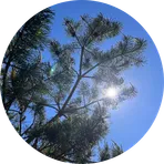 Анти-стресс перезагрузка  - Ландшафтотерапия 