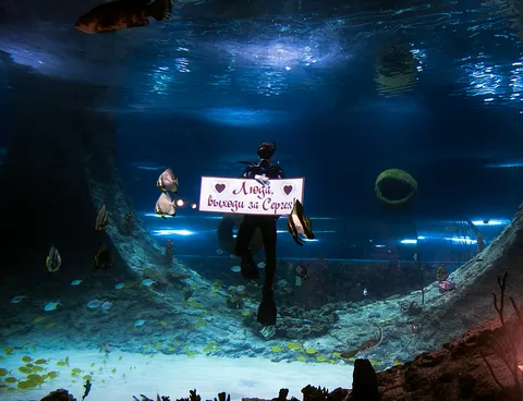 Изображение 4 из 5 в галерее "Водолазная станция "ЮgraDive""