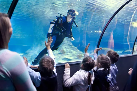 Изображение 5 из 5 в галерее "Водолазная станция "ЮgraDive""