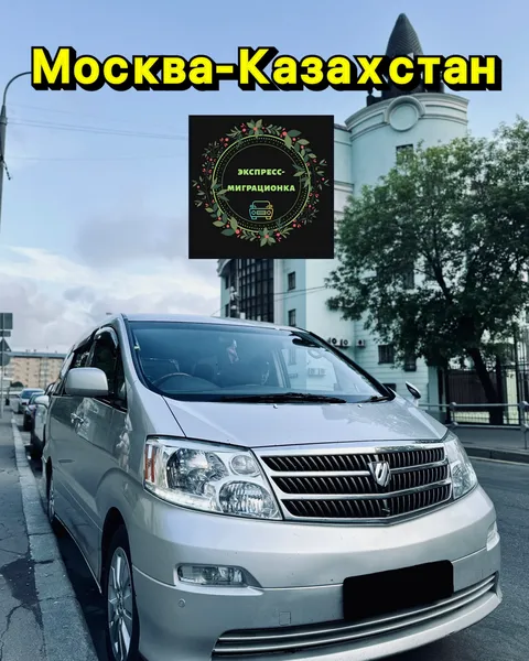 Изображение 3 из 12 в галерее "express-migra"