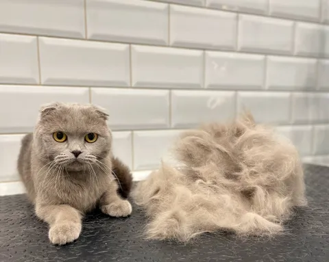 Изображение 6 из 45 в галерее "ТинТин"