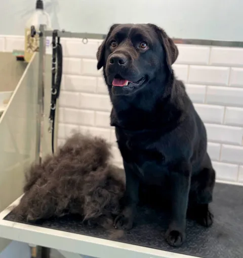 Изображение 9 из 45 в галерее "ТинТин"