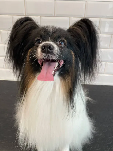 Изображение 10 из 45 в галерее "ТинТин"