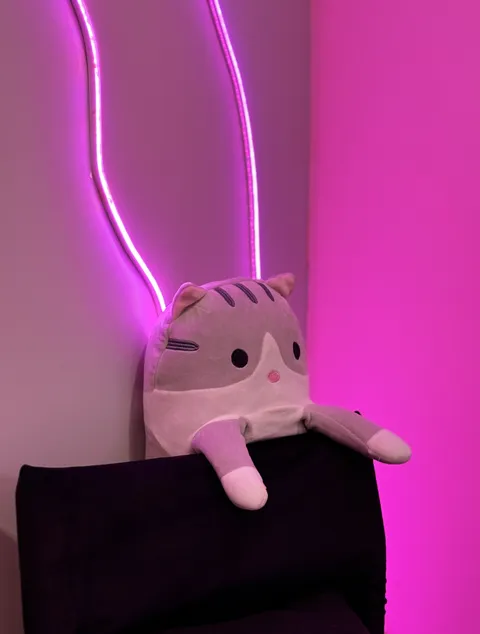 Изображение 1 из 9 в галерее "Hi, Kitty!"