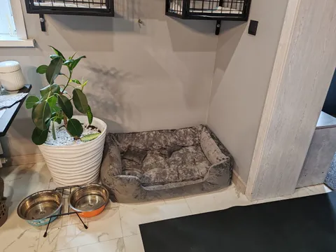 Изображение 1 из 18 в галерее "love animals"