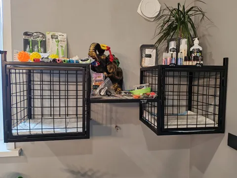 Изображение 2 из 18 в галерее "love animals"