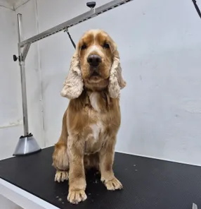 https://storage2.easyweek.io/processed/images/2025-11-19/a34734dc2f62c38b88eea55049d504088e80f611ed886211b42c67a66f047b5c_1690x1267.jpg